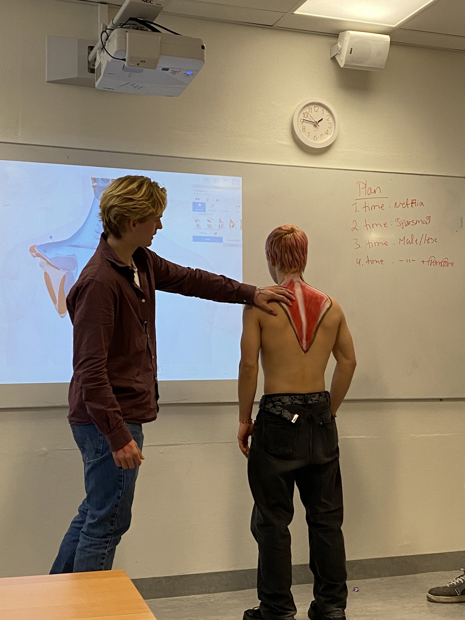 Muskeltegning 2.JPEG