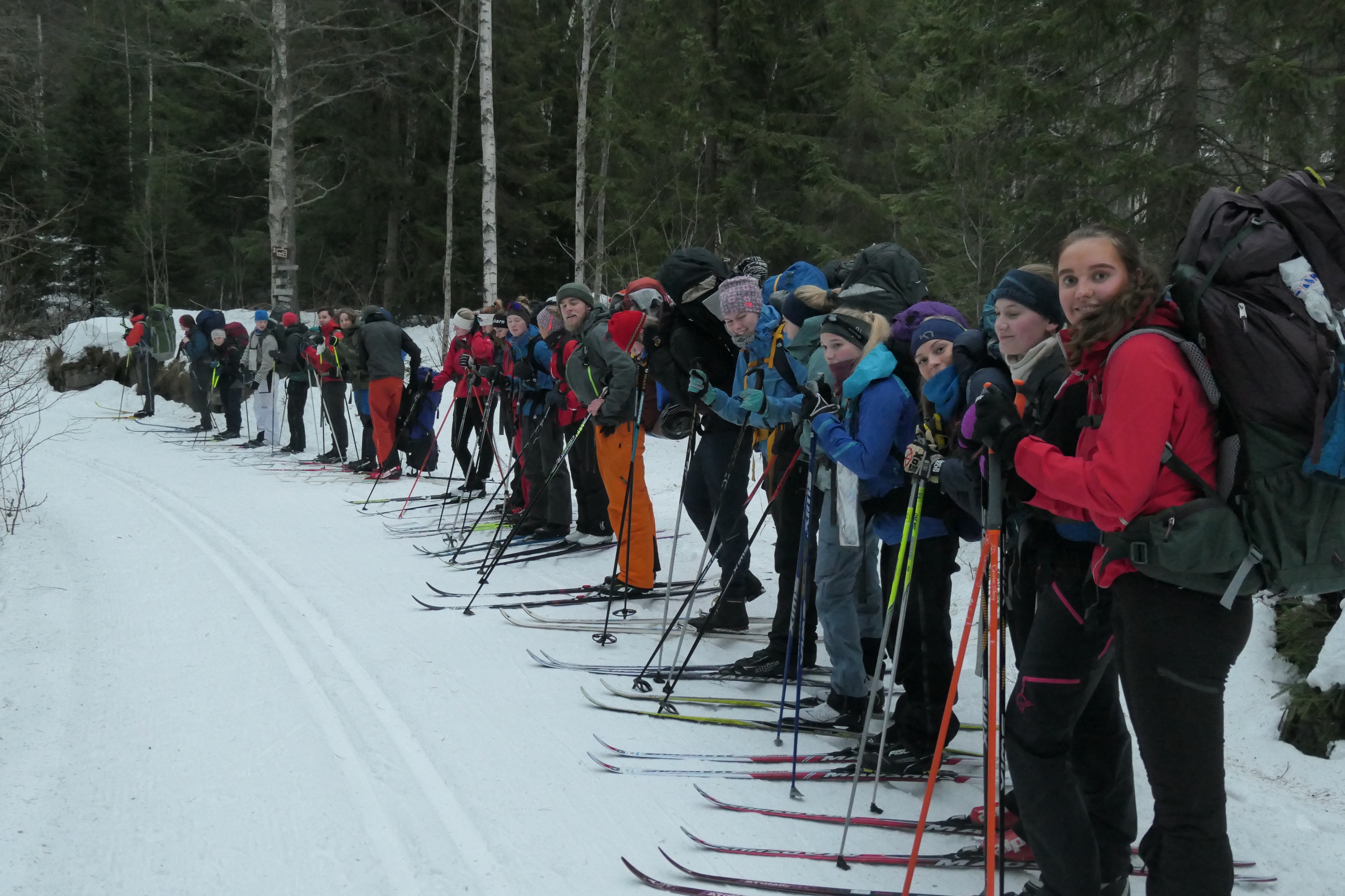 MicrosoftTeams-image (94).png