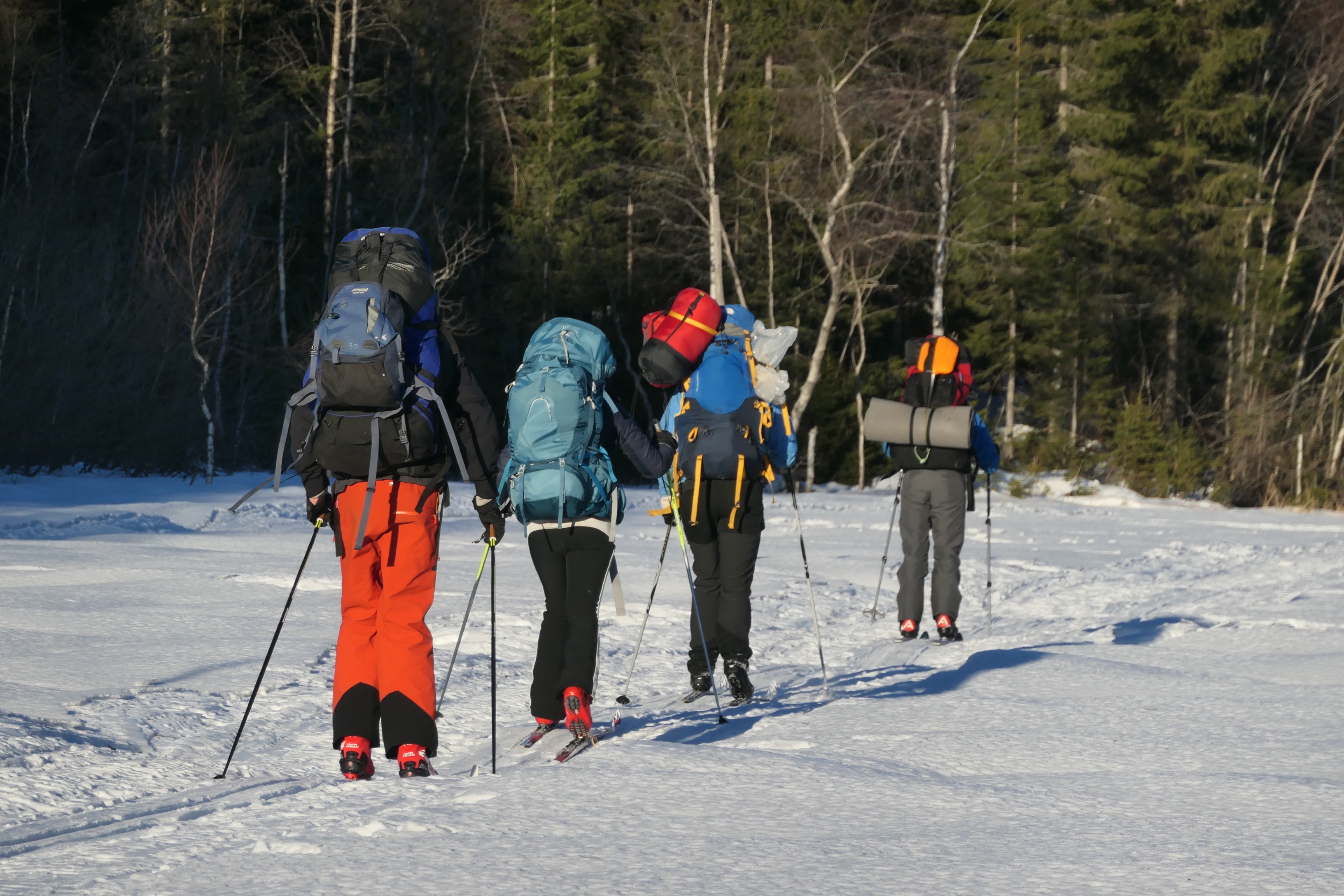 MicrosoftTeams-image (97).png